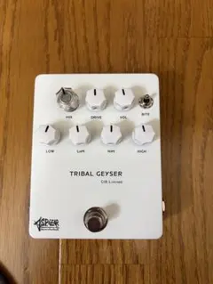 2026年最新】tribal geyserの人気アイテム - メルカリ