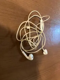 ホワイト有線イヤホン Lightningコネクタ