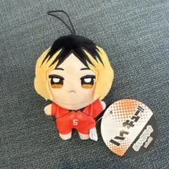 ハイキュー!! ぬいぷりけ mini3　孤爪研磨