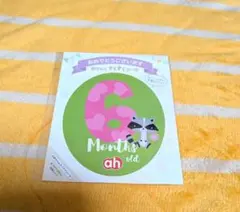 Item thumbnail for item 5e4a293a-7145-4924-907f-0f356ba82597