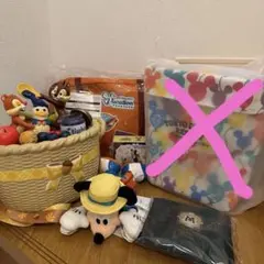 ディズニーバケーションパッケージまとめ売りセット