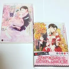 すずね凜２冊セット12　ハニー文庫　TL小説　恋愛小説　女性向け