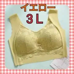 着痩せブラ　胸を小さく見せる　ノンワイヤー　ナイトブラ　シームレス　3L 花柄