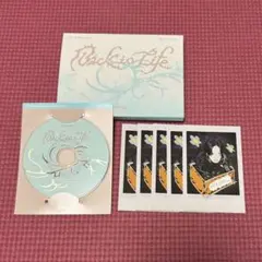 &TEAM BtL mini FUMAセット①