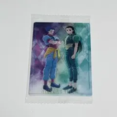 HUNTER×HUNTER イタジャガ ヒソカ & イルミ