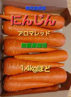 アロマレッド　にんじん鹿児島県産無農薬栽培のサムネイル