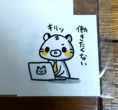 tazzy様 リクエスト 3点 まとめ商品