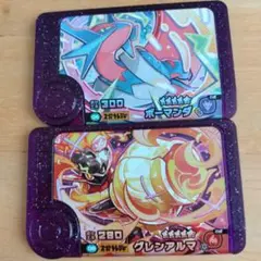 ポケモンフレンダ スーパートレジャー　ボーマンダ　グレンアルマ