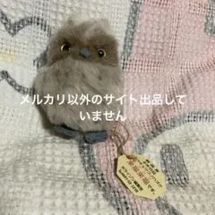 m73077672454_1.jpg?1772513987