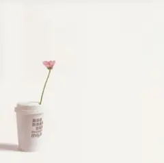 あいたくて/MORNING-EVENING/goin' places/MONK…