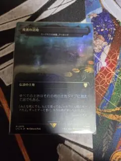 MTG 中国語版 アーボーグの骸骨、蠢く骸骨 イラスト違い2枚セット