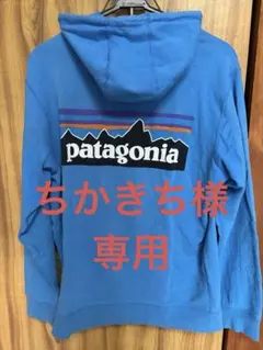 patagonia 青色 フード付きパーカー　Sサイズ