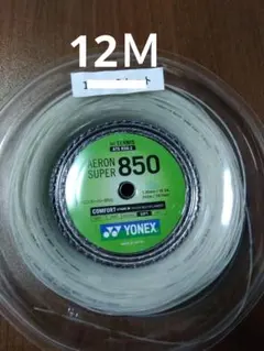 Item thumbnail for item 0512a725-16e6-4400-9697-53421ec2ea3c