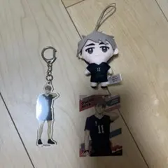 ハイキュー 稲荷崎 宮治 キーホルダー ぬいぐるみ トレーディングカード