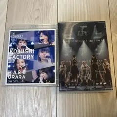 井上玲音/ハロプロ/こぶしファクトリー ライブ2点セット