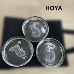 HOYA お皿 3枚セット クリスタル 卯 うさぎ 干支のサムネイル