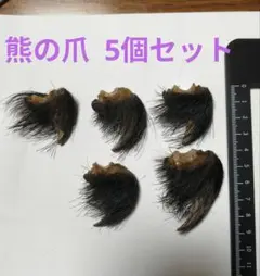 2026年最新】熊の爪の人気アイテム - メルカリ