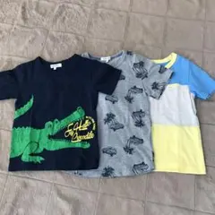 Tシャツ 3枚セット