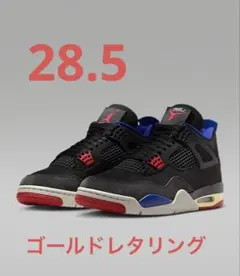 Nike Air Jordan 4 ナイキ　エアジョーダン4