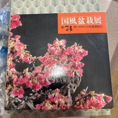 2026年最新】国風盆栽展の人気アイテム - メルカリ