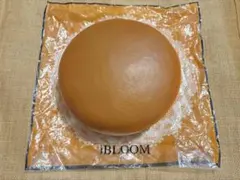 iBLOOM スクイーズ パン