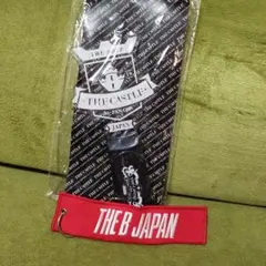 Item thumbnail for item 5987fc09-af44-42f2-a433-171db74971cd