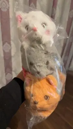 マリー、ベルリオーズ、トゥルーズ おしゃれキャット ぬいぐるみ