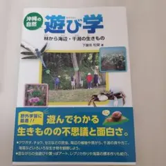 Item thumbnail for item 457622c1-9676-4255-8e2c-e97a3bc5b7ea