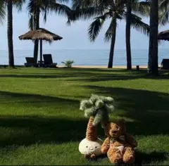 ボンボン様専用