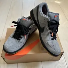 Nike SB Dunk Low ISO 