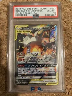 2026年最新】レシラム&リザードンgx sa psa10の人気アイテム - メルカリ