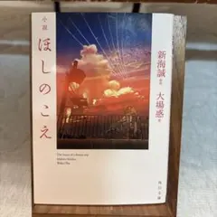 小説 ほしのこえ