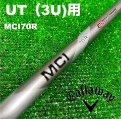 Item thumbnail for item 1ab731f6-9805-4bc1-9d62-de4d8c566008