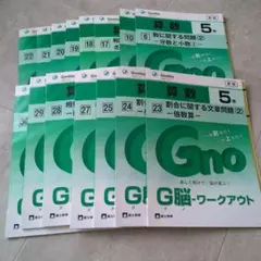 【未使用】グノーブル G脳ワークアウト 解答付 15冊 中学受験