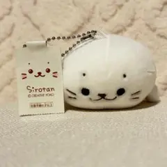 しろたん ふわもち マスコット