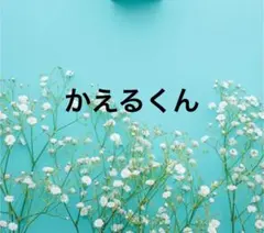 かえるくん様専用出品になります。