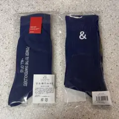 Item thumbnail for item 5fcc5793-2129-42bc-adc4-f63b6fc05fda