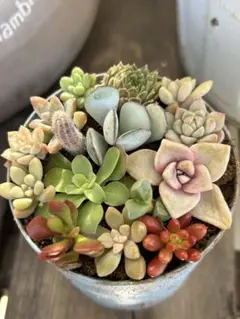 ルルロロ様 リクエスト 2点 まとめ商品