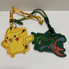 レックウザとデオキシスのパスケース レックウザ、デオキシスパスケース☆ポケパーク - メルカリ
