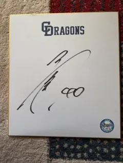 Item thumbnail for item 3e686d5c-cef3-45ae-ad94-955ebf292a43