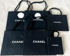 CHANEL ショッパー　17枚セット CHANEL ショッパー 17枚セット CHANEL シャネル ショップ袋