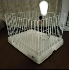 Item thumbnail for item 881c2f40-0da6-47cc-9a76-6bf0b9a40491