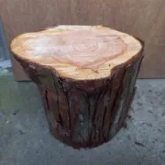 Item thumbnail for item 6bb7e19c-656f-4ca3-a636-9ee6568b1daa