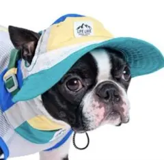 Item thumbnail for item d65f5cce-4333-4df1-94df-b1b337907d74