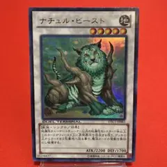 遊戯王　ナチュルビースト　DTCシークレット　psa10 遊戯王 ナチュルビーストDTC シークレット ナチュルビースト
