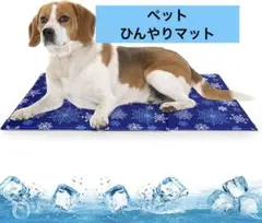 Item thumbnail for item aa186d7f-08a2-4248-9d0f-f6f8ca6d3bf4