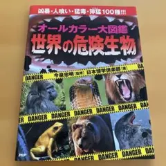 Item thumbnail for item 13a9eb2d-0ec9-4538-9fb5-e85197772c51