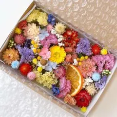 花材　詰め合わせ 1069