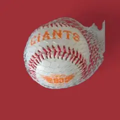 GIANTS 記念ボール メッシュカバー付き