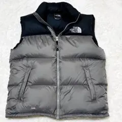 【レアモデル】美品 ノースフェイスダウンベスト センターロゴ Lサイズ メンズ